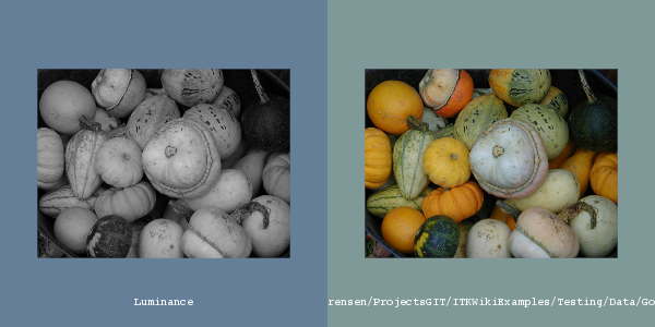 File:ITK Examples Baseline ImageProcessing TestRGBToLuminanceImageFilter 1.png