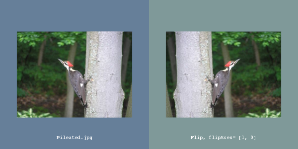 File:ITK Examples Baseline Images TestFlipImageFilter 1.png