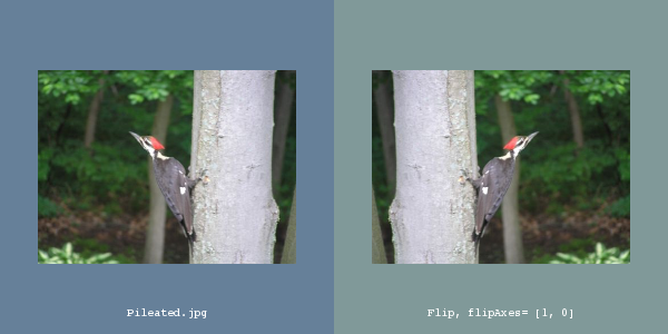 File:ITK Examples Baseline Images TestFlipImageFilter.png