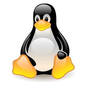 File:Linux.jpg