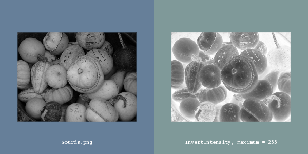 File:ITK Examples Baseline ImageProcessing TestInvertIntensityImageFilter 1.png