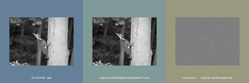 File:ITK Examples Baseline ImageProcessing TestLaplacianSharpeningImageFilter.png